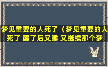 梦见重要的人死了（梦见重要的人死了 醒了后又睡 又继续那个梦）